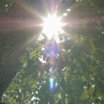 Lymphedema and Venous Disease - What You Haven't Been Told