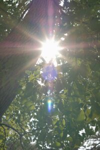 Lymphedema and Venous Disease - What You Haven't Been Told