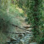 Microclots Possibly Impacting Recovery for Chronic Illnesses