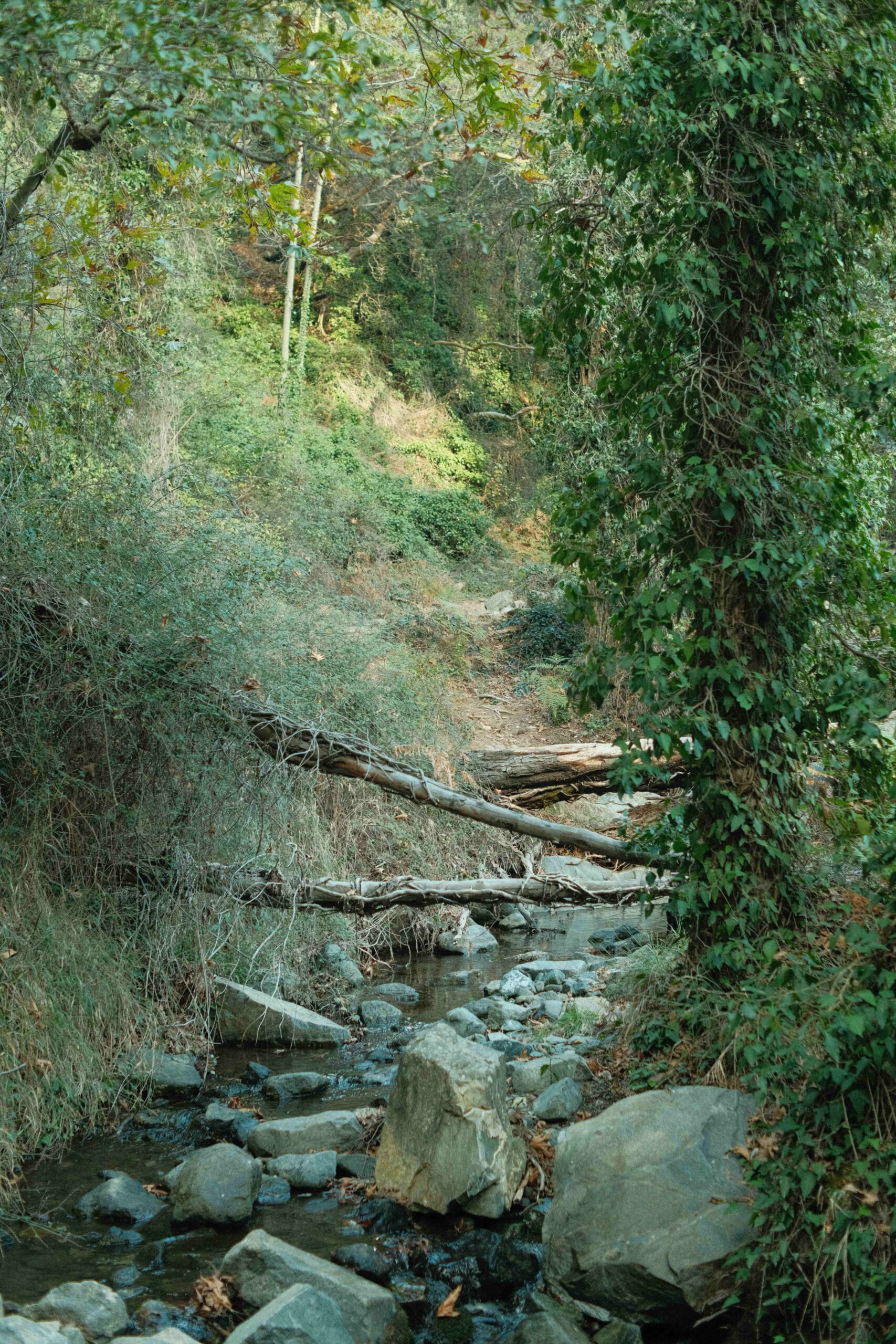 Microclots Possibly Impacting Recovery for Chronic Illnesses